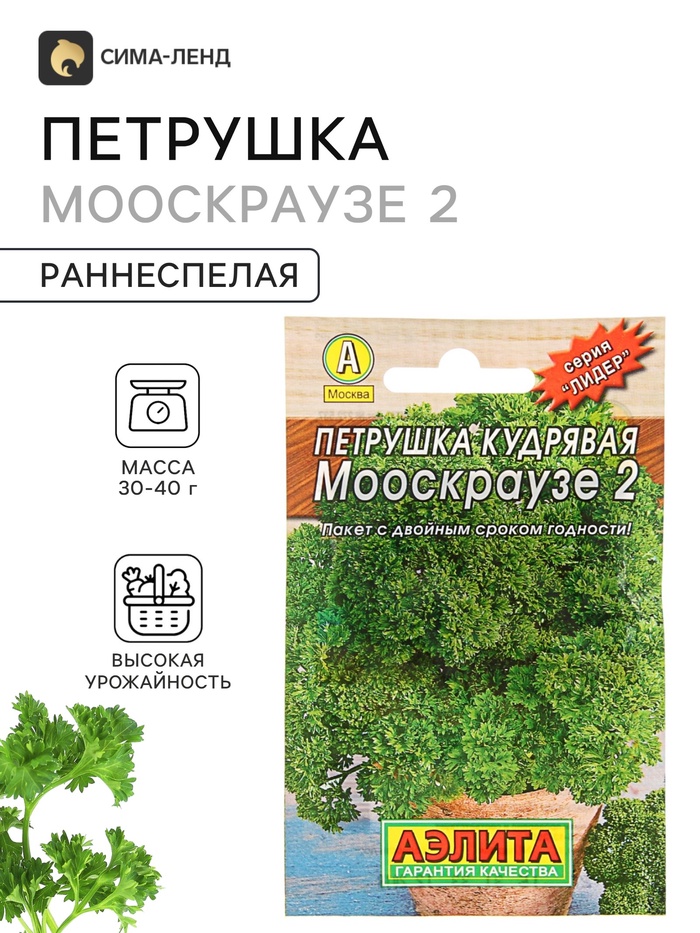 Петрушка кудрявая «Мооскраузе 2», 2 г
